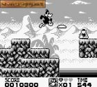 Looney Tunes:  