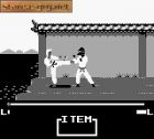 Master Karateka:  