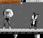 Mortal Kombat:  