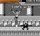 Mortal Kombat:  