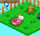 Screen gry Nakayoshi Pet Series 2: Kawaii Usagi: 