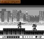Ninja Gaiden Shadow:  