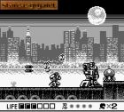 Ninja Gaiden Shadow:  