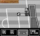 Screen gry Nintendo World Cup: 