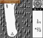 Pocket Golf:  