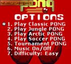 Pong: The Next Level:  