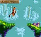 Pooh and Tigger's Hunny Safari:  