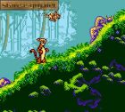 Pooh and Tigger's Hunny Safari:  