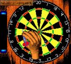 Screen gry Pro Darts: 