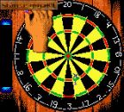 Screen gry Pro Darts: 