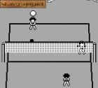 Screen gry Seaside Volley: 