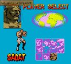 Screen - Street Fighter Alpha: Warriors' Dreams