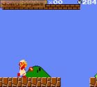Super Mario Bros. Deluxe:  