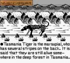 Screen - Tasmania Story