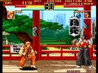 Art of Fighting:  