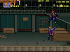 Double Dragon 3: The Rosetta Stone:  