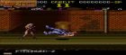 Obrazek z gry Ghost Chaser Densei