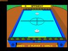 Obrazek z gry SportTime Table Hockey