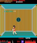 Lady Master of Kung Fu:  