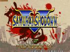 Obrazek z gry Samurai Shodown V
