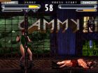 Obrazek z gry Street Fighter: The Movie