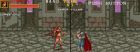 Obrazek z gry Warrior Blade: Rastan Saga Episode III