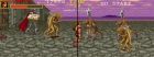 Warrior Blade: Rastan Saga Episode III:  