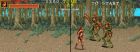 Obrazek z gry Warrior Blade: Rastan Saga Episode III