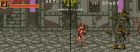 Obrazek z gry Warrior Blade: Rastan Saga Episode III