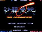 Obrazek z gry Salamander