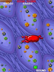 Screen gry Dr. Toppel's Adventure: 