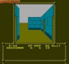 Advanced Dungeons & Dragons: Pool of Radiance:  