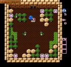 Obrazek z gry Adventures of Lolo 2