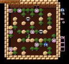 Obrazek z gry Adventures of Lolo 2