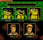 Obrazek z gry Battletoads & Double Dragon: The Ultimate Team