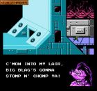 Obrazek z gry Battletoads & Double Dragon: The Ultimate Team