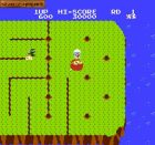Dig Dug II: Trouble in Paradise:  