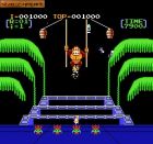Donkey Kong 3:  