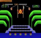 Donkey Kong 3:  