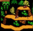 Donkey Kong Country 4:  