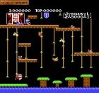 Donkey Kong Jr. + Jr. Lesson:  