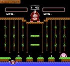 Donkey Kong Jr. Math:  