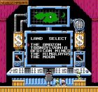 Obrazek z gry Duck Tales