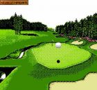 Golf Grand Slam:  
