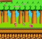 Obrazek z gry Hudson's Adventure Island