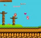 Obrazek z gry Hudson's Adventure Island