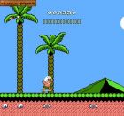 Screen gry Hudson's Adventure Island II: 