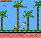 Screen gry Hudson's Adventure Island II: 