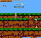 Screen gry Hudson's Adventure Island II: 