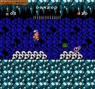Screen gry Hudson's Adventure Island III: 